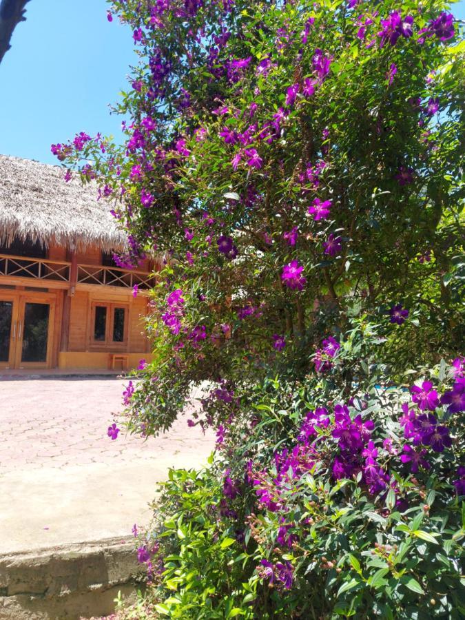 Flower Hmong Homestay Bac Ha  Exterior foto