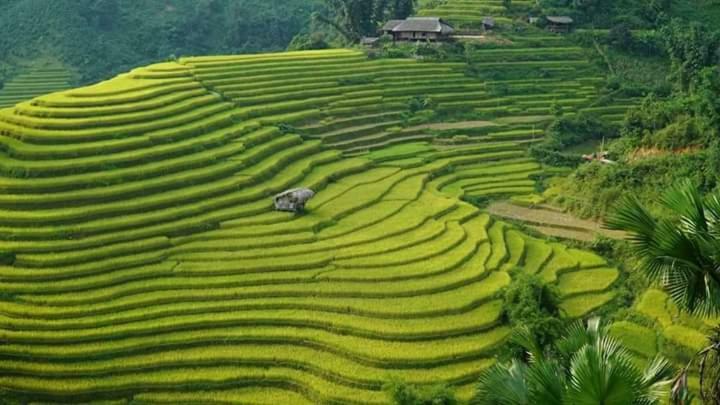 Flower Hmong Homestay Bac Ha  Exterior foto